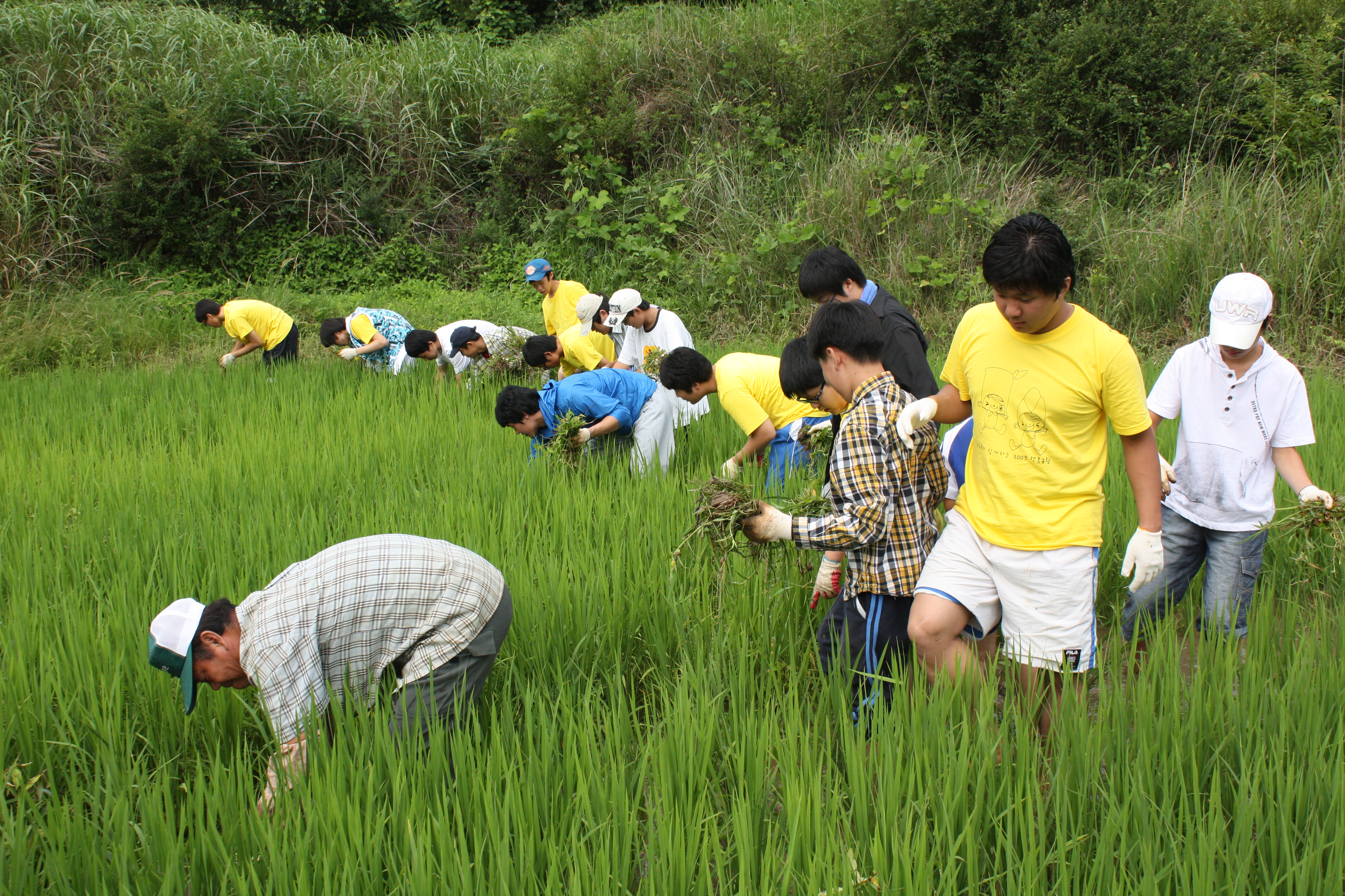 8. 2009 청소년 여름농촌봉사활동.JPG