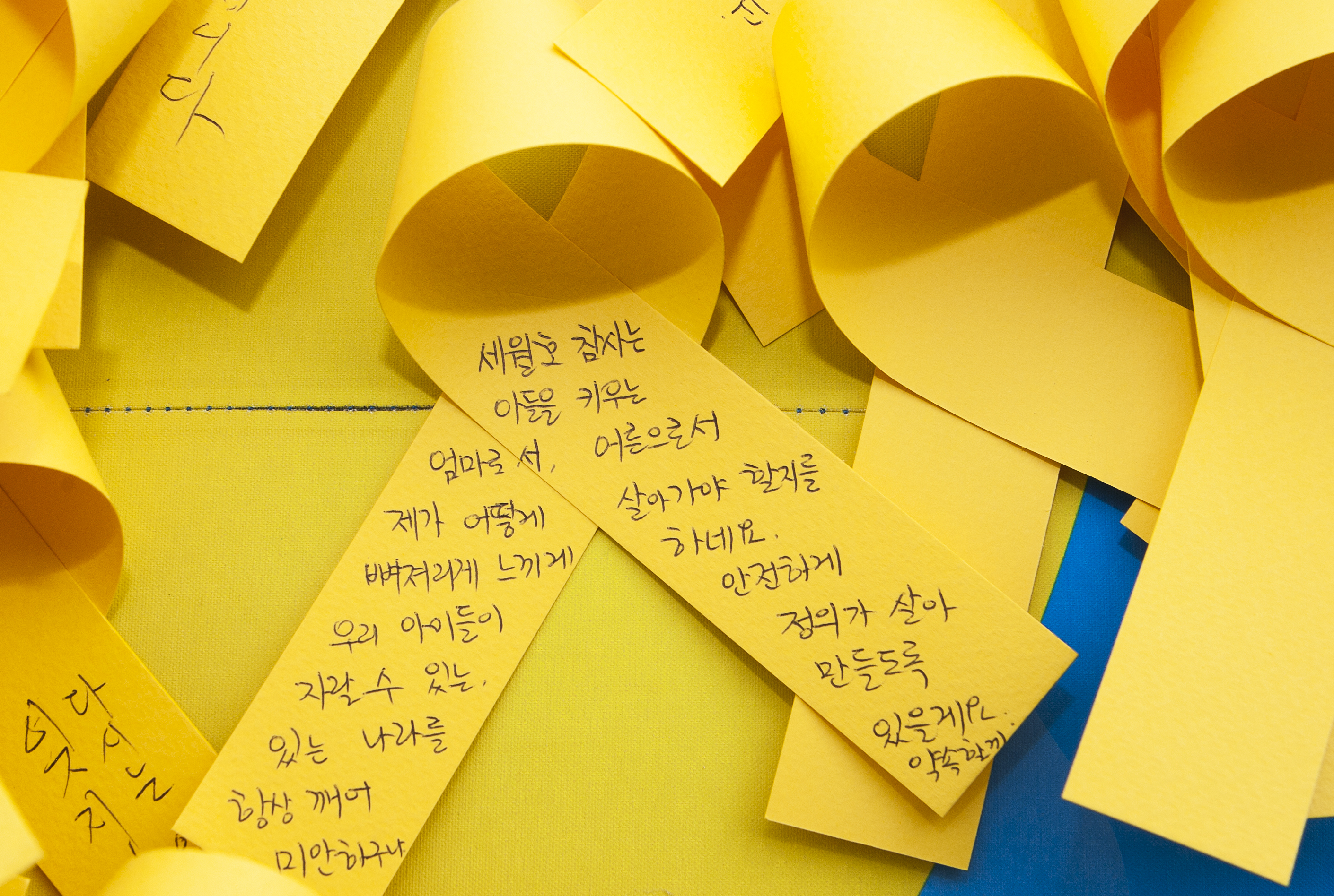 기사2.jpg