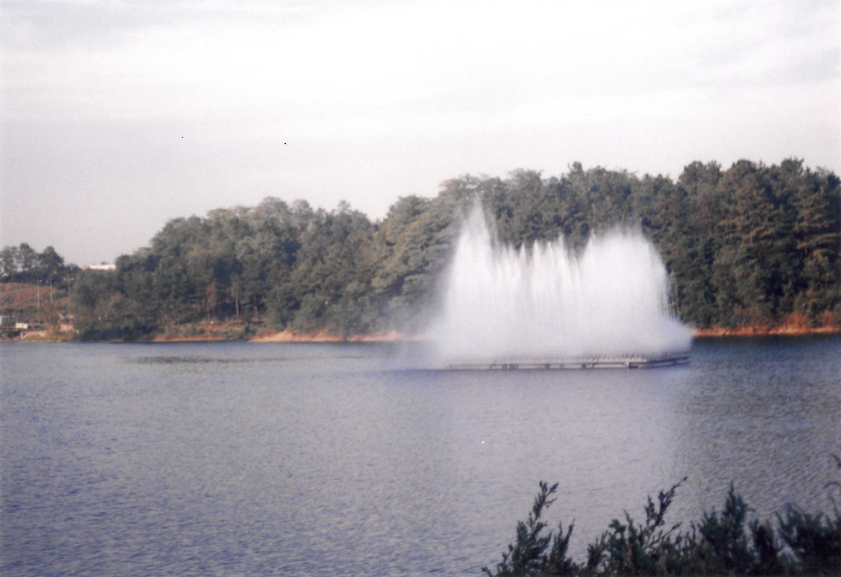 19-3.jpg