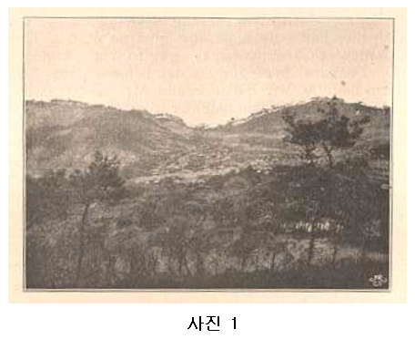 80호 첫번째사진.png