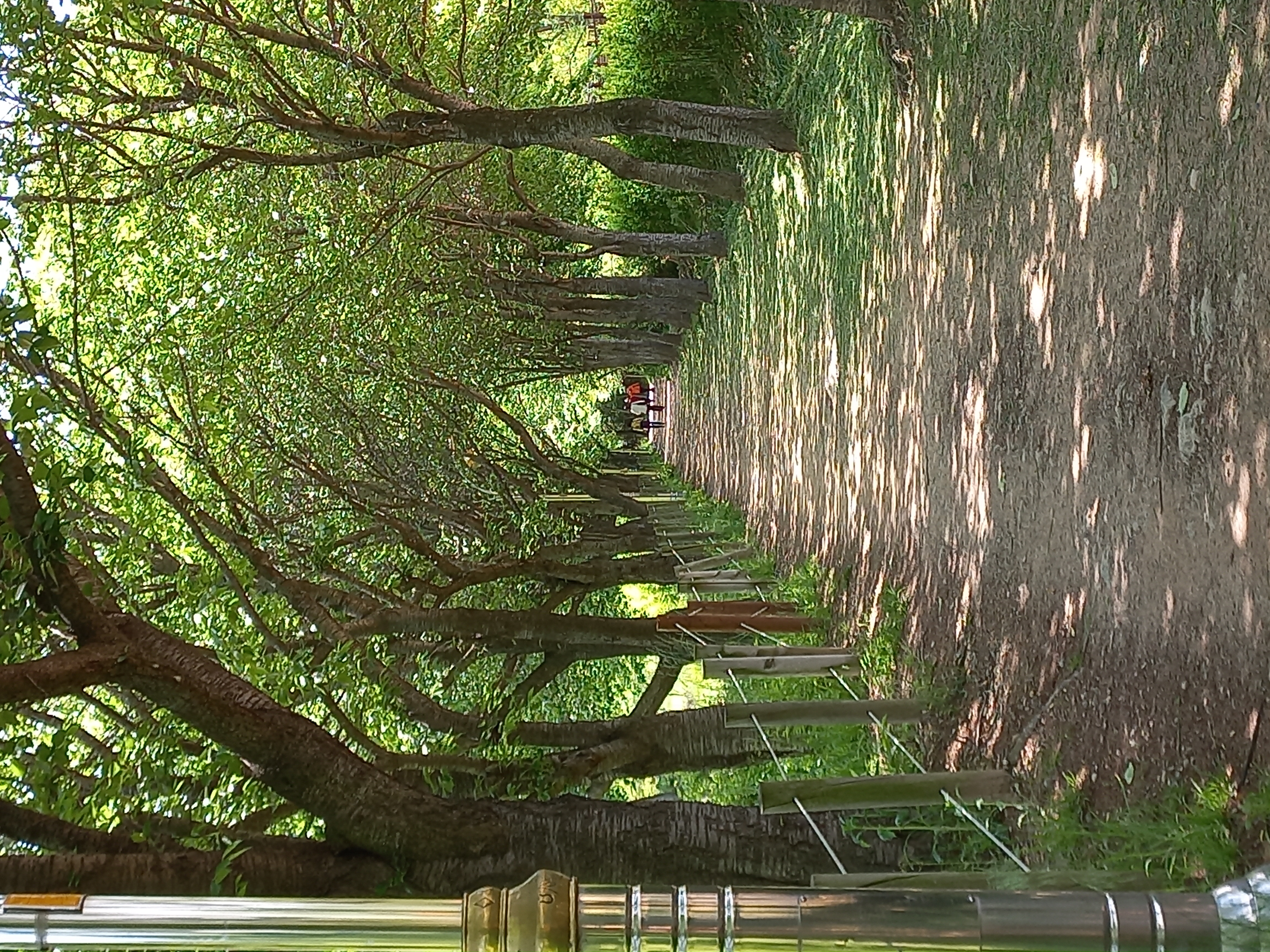 15. 이의자_나의 작은 집 옥상 텃밭과 인천공원 산책길 (6).jpg